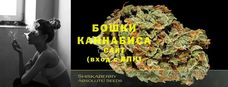 закладки  Ковров  Конопля Bruce Banner 